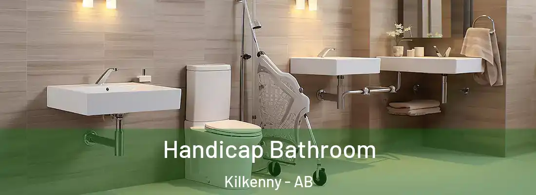  Handicap Bathroom Kilkenny - AB