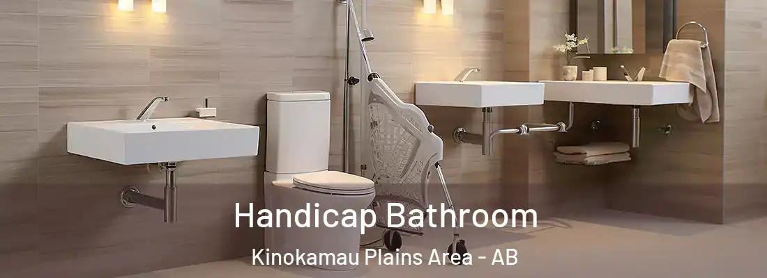  Handicap Bathroom Kinokamau Plains Area - AB