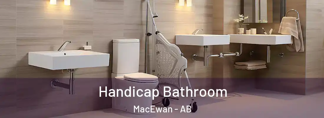  Handicap Bathroom MacEwan - AB