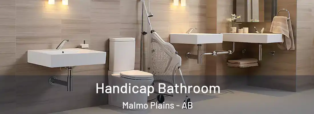  Handicap Bathroom Malmo Plains - AB