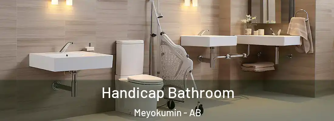  Handicap Bathroom Meyokumin - AB