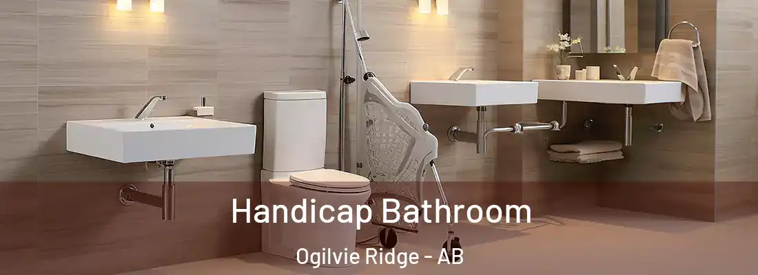  Handicap Bathroom Ogilvie Ridge - AB