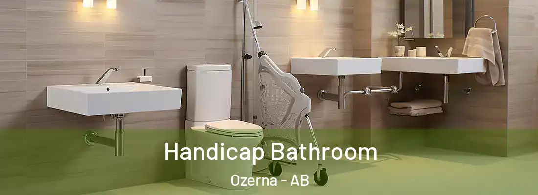  Handicap Bathroom Ozerna - AB