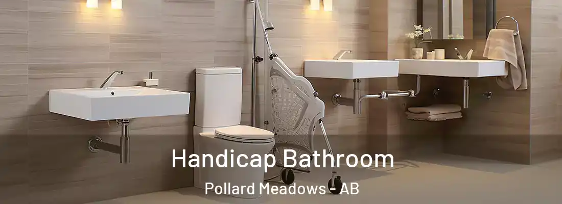  Handicap Bathroom Pollard Meadows - AB