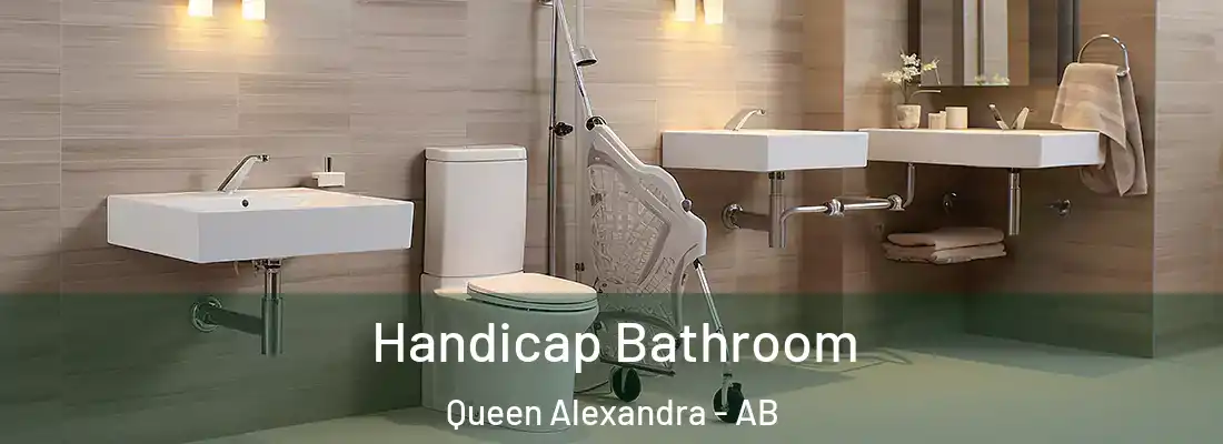  Handicap Bathroom Queen Alexandra - AB