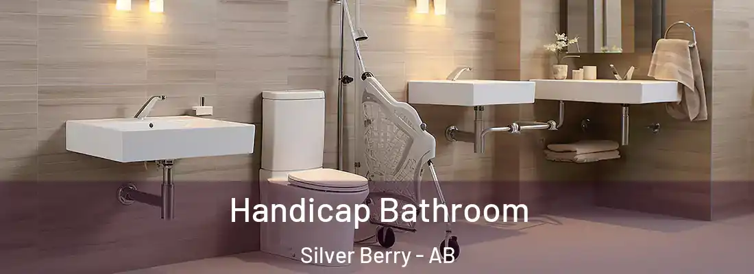  Handicap Bathroom Silver Berry - AB