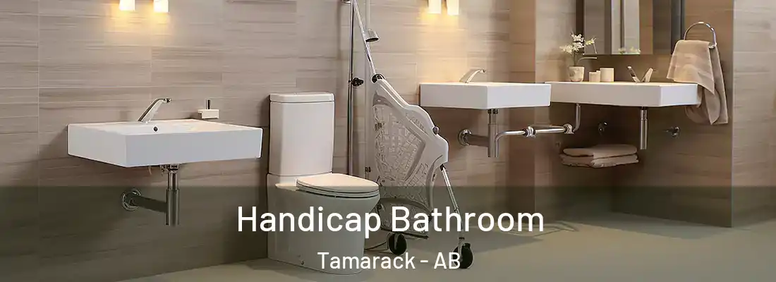  Handicap Bathroom Tamarack - AB