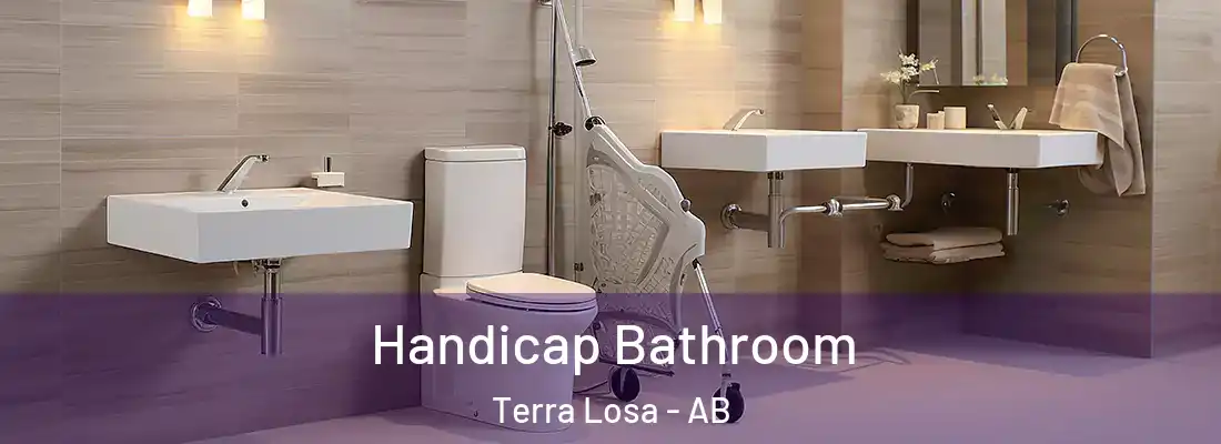  Handicap Bathroom Terra Losa - AB