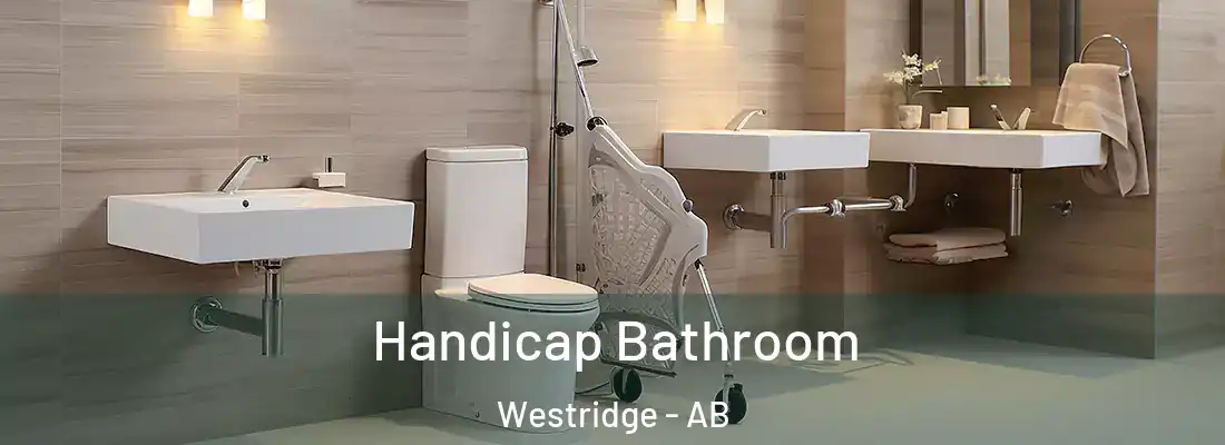  Handicap Bathroom Westridge - AB