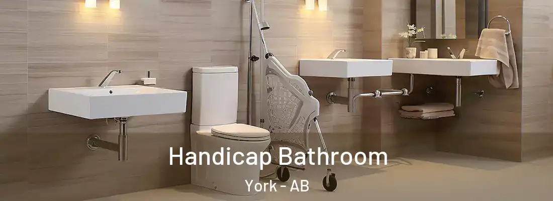  Handicap Bathroom York - AB