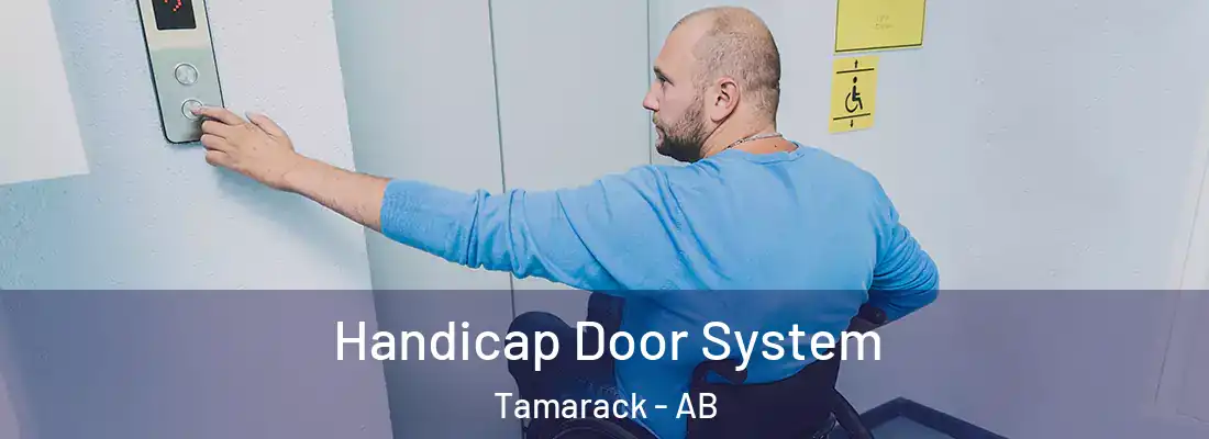  Handicap Door System Tamarack - AB