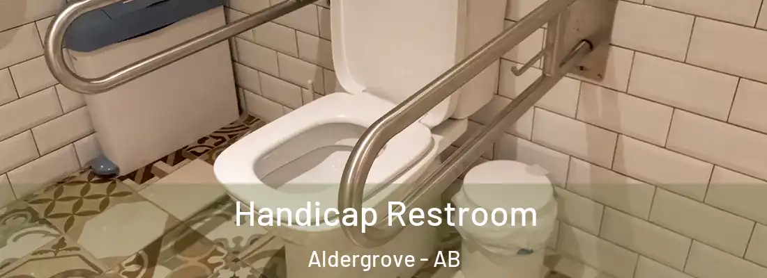  Handicap Restroom Aldergrove - AB