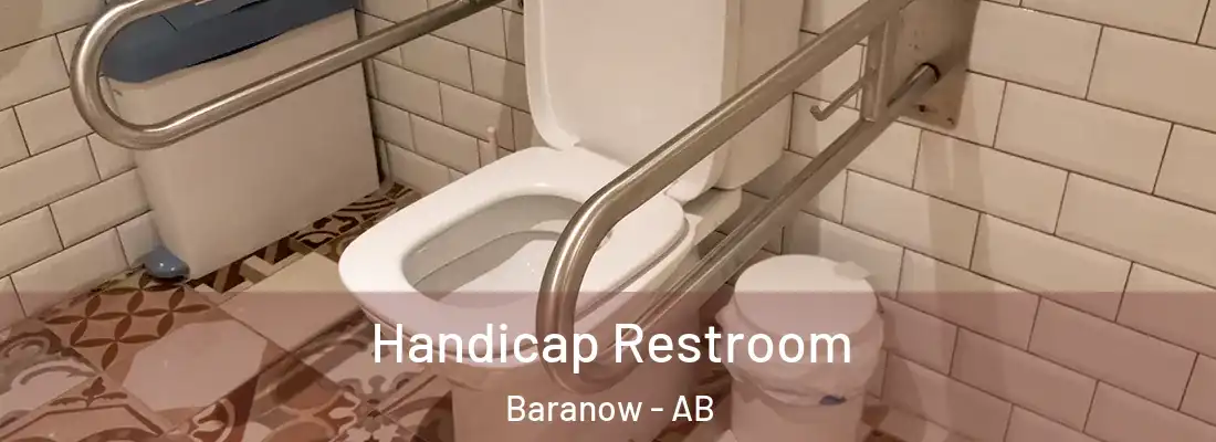  Handicap Restroom Baranow - AB