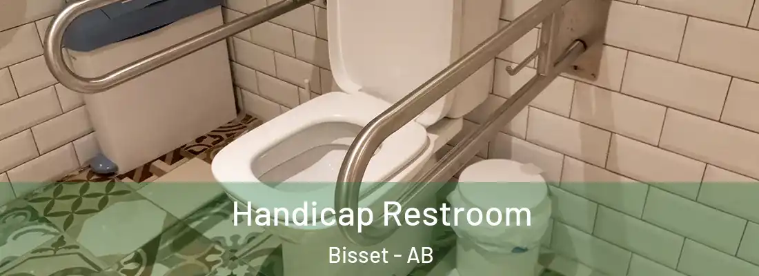  Handicap Restroom Bisset - AB