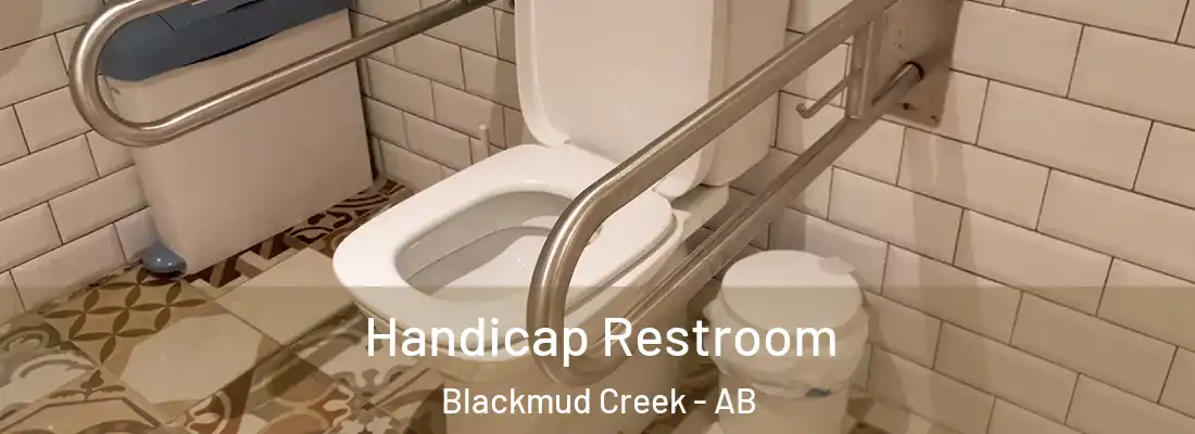  Handicap Restroom Blackmud Creek - AB