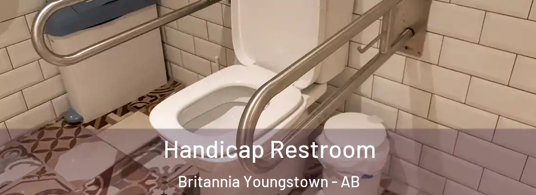  Handicap Restroom Britannia Youngstown - AB