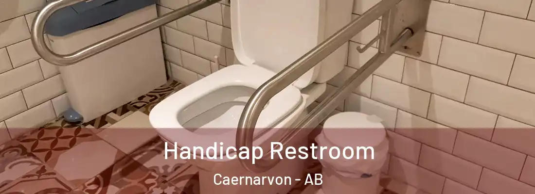  Handicap Restroom Caernarvon - AB