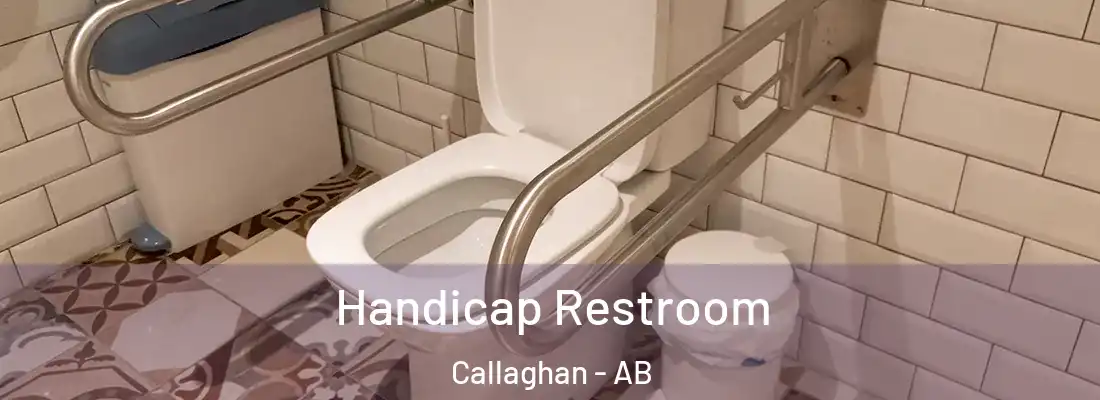  Handicap Restroom Callaghan - AB