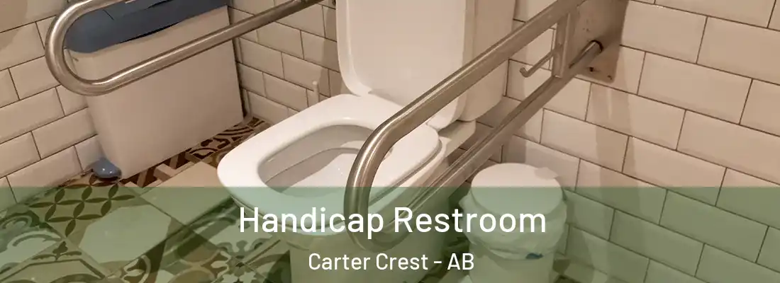  Handicap Restroom Carter Crest - AB