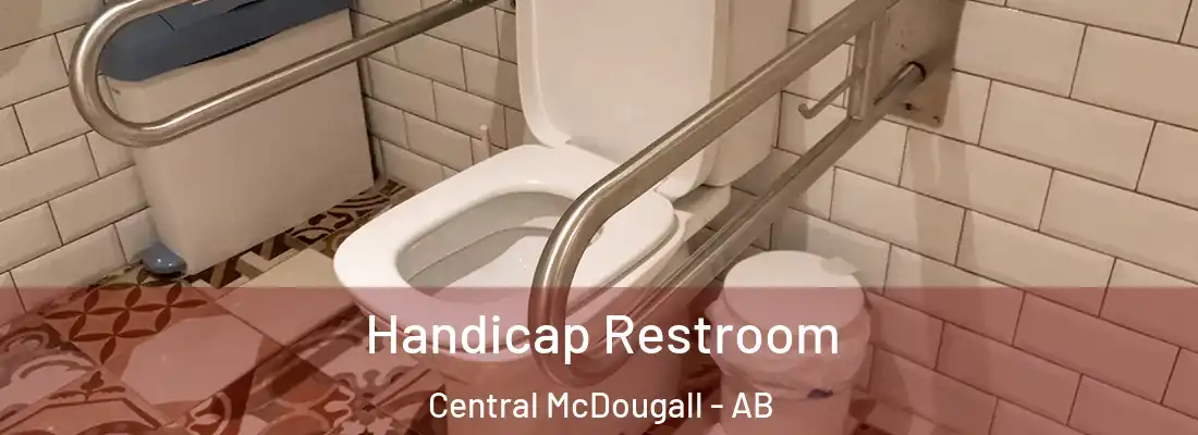  Handicap Restroom Central McDougall - AB