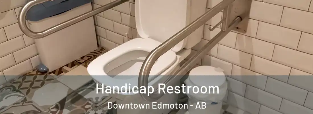  Handicap Restroom Downtown Edmoton - AB