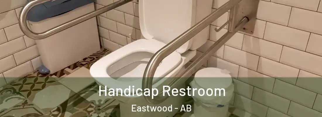  Handicap Restroom Eastwood - AB