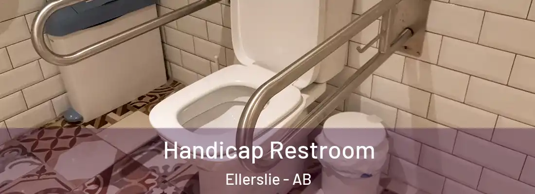  Handicap Restroom Ellerslie - AB