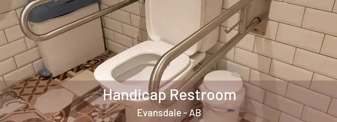  Handicap Restroom Evansdale - AB
