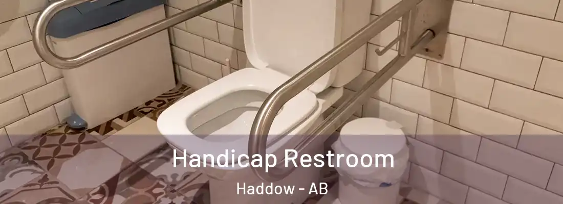  Handicap Restroom Haddow - AB