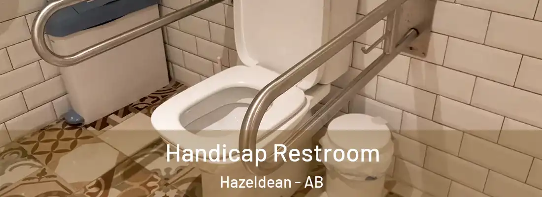  Handicap Restroom Hazeldean - AB