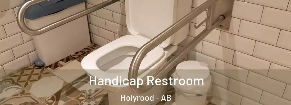  Handicap Restroom Holyrood - AB