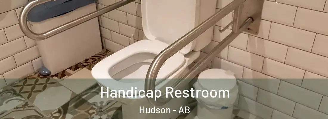  Handicap Restroom Hudson - AB
