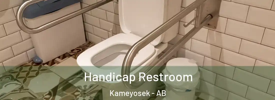  Handicap Restroom Kameyosek - AB