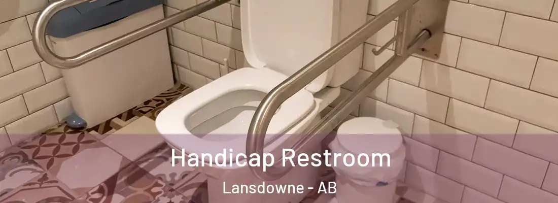  Handicap Restroom Lansdowne - AB