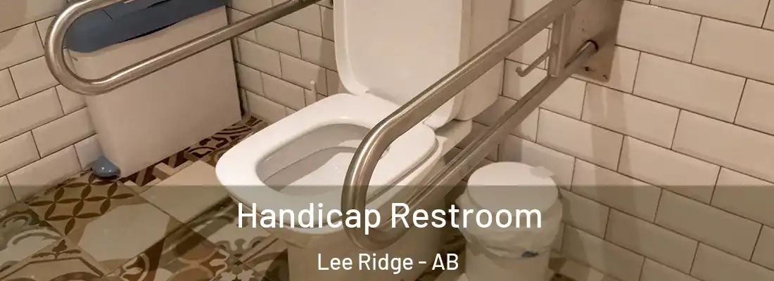  Handicap Restroom Lee Ridge - AB