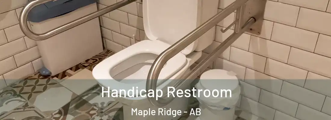  Handicap Restroom Maple Ridge - AB