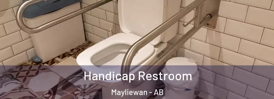  Handicap Restroom Mayliewan - AB