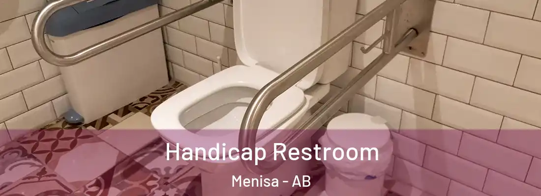  Handicap Restroom Menisa - AB