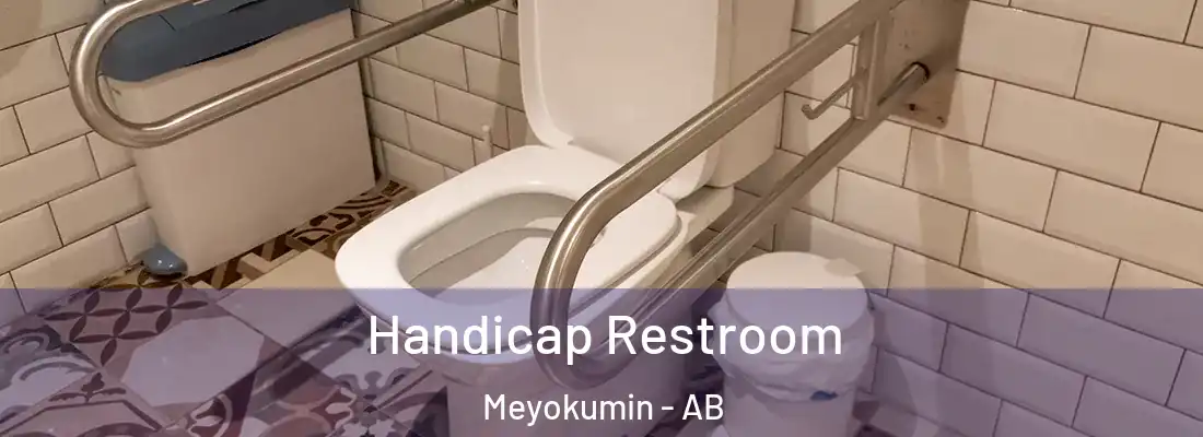  Handicap Restroom Meyokumin - AB