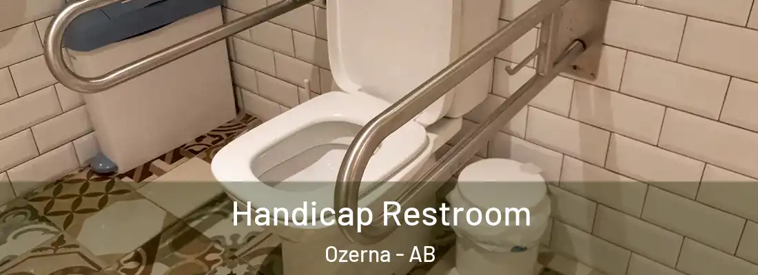  Handicap Restroom Ozerna - AB