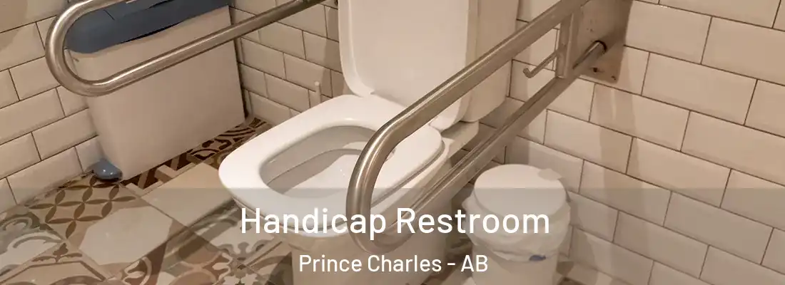  Handicap Restroom Prince Charles - AB