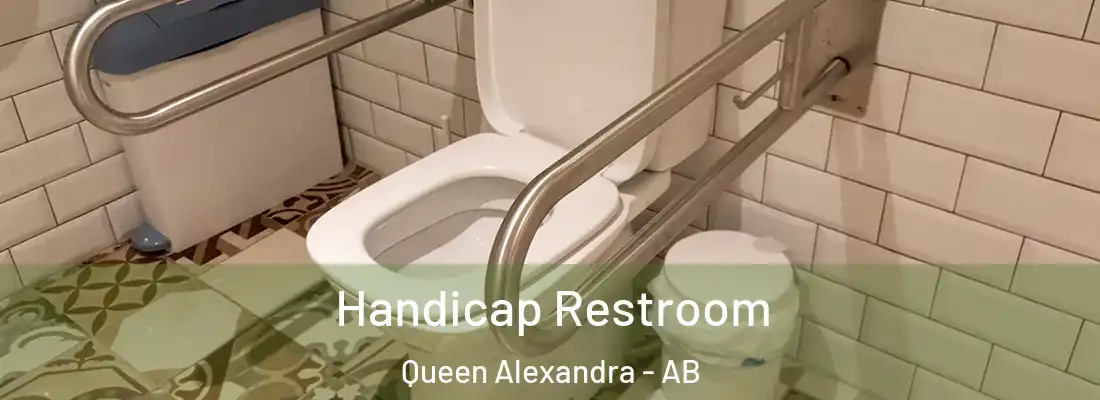  Handicap Restroom Queen Alexandra - AB