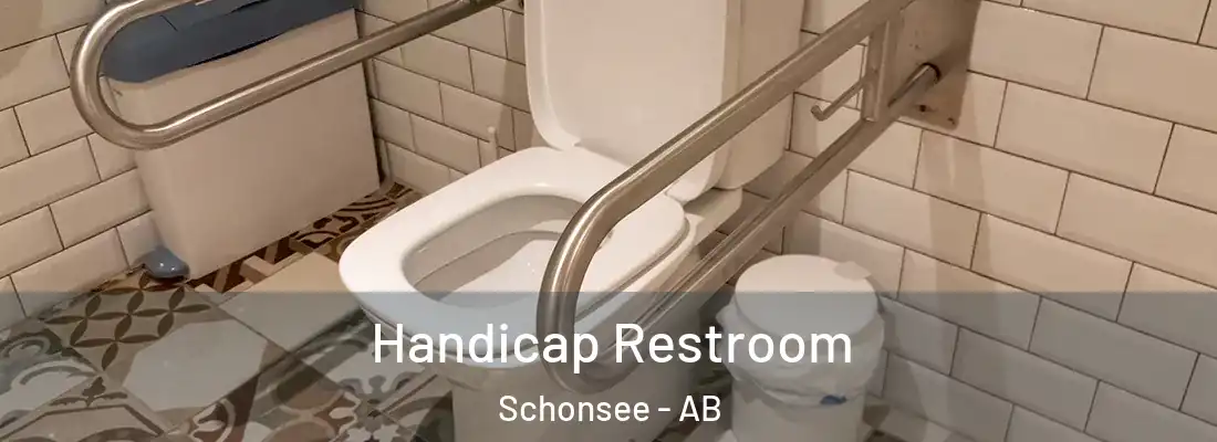 Handicap Restroom Schonsee - AB