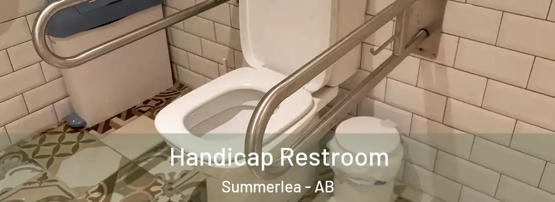  Handicap Restroom Summerlea - AB