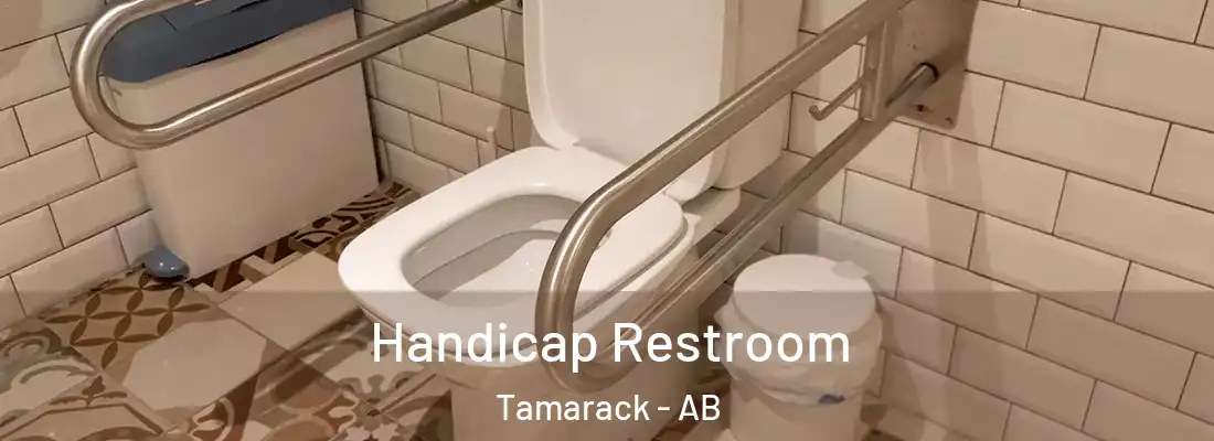  Handicap Restroom Tamarack - AB