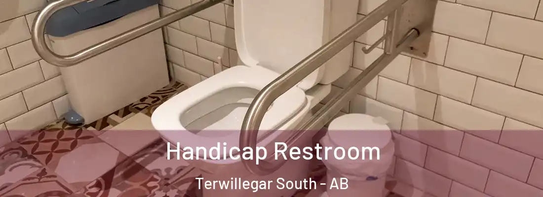  Handicap Restroom Terwillegar South - AB