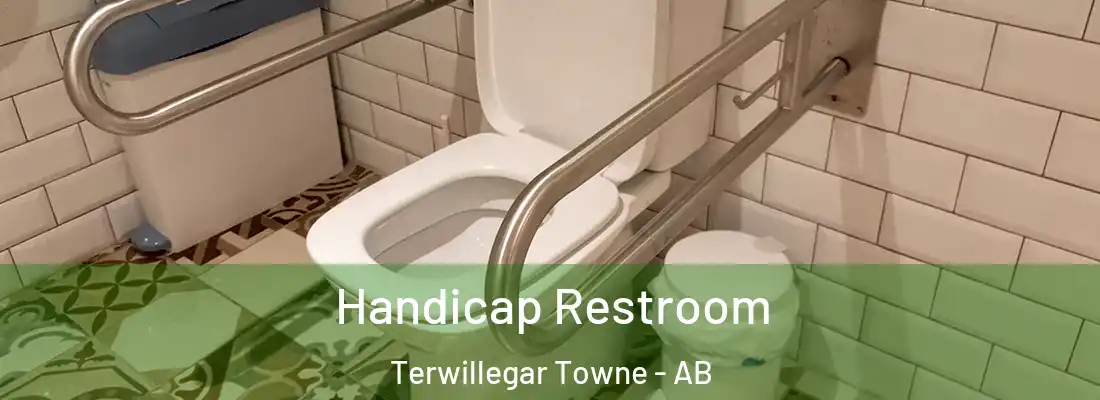  Handicap Restroom Terwillegar Towne - AB