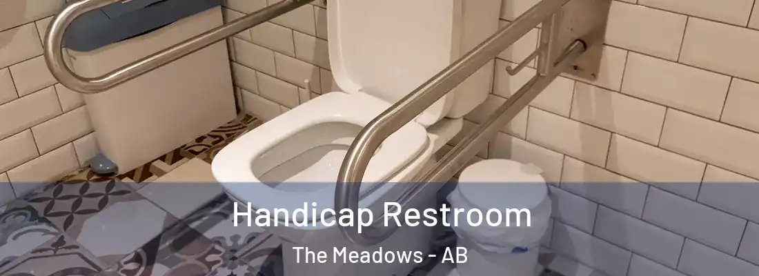  Handicap Restroom The Meadows - AB
