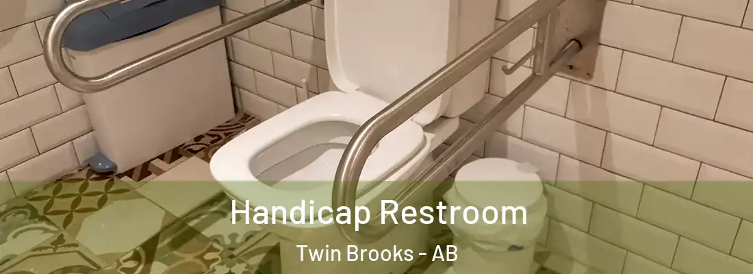  Handicap Restroom Twin Brooks - AB