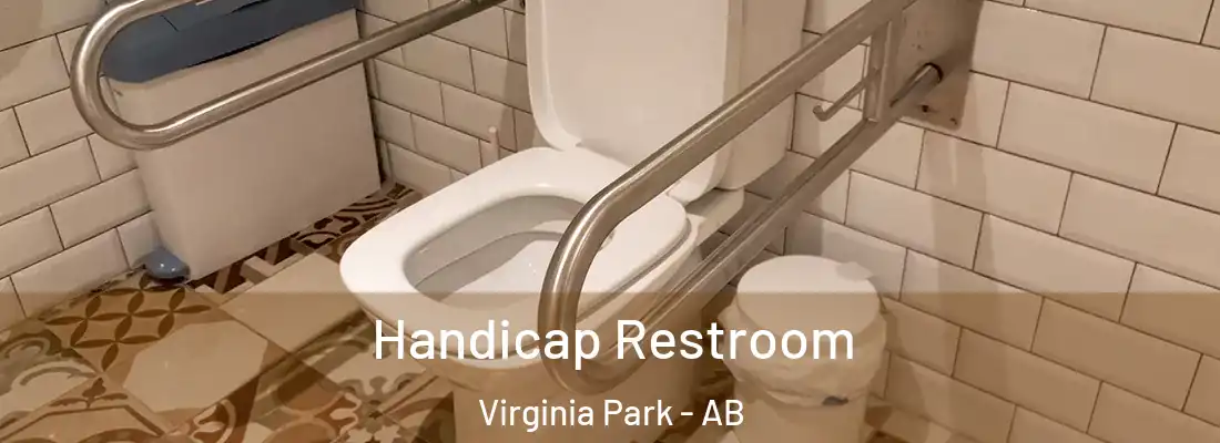  Handicap Restroom Virginia Park - AB